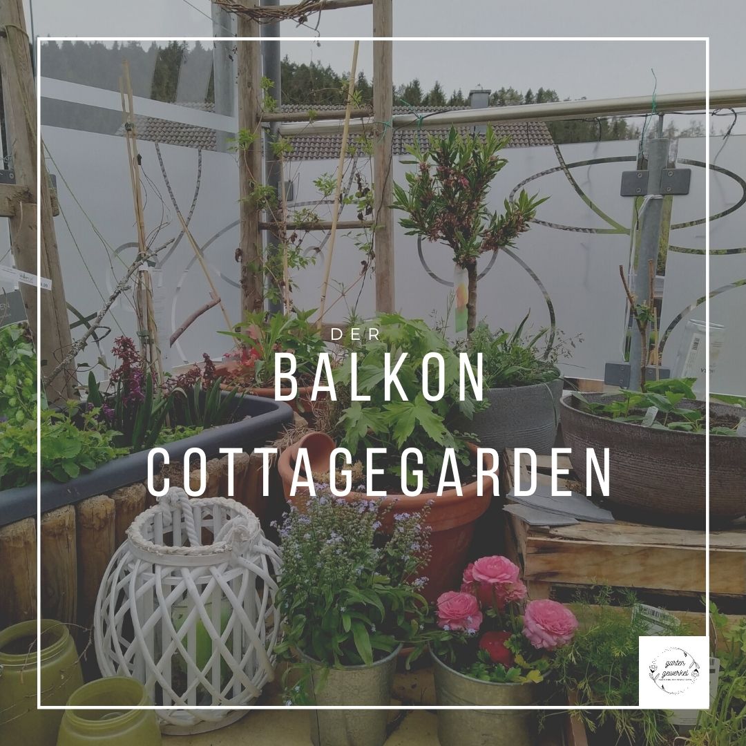 Read more about the article Ganzjährige Blütenpracht auf dem Cottagegarden Balkon